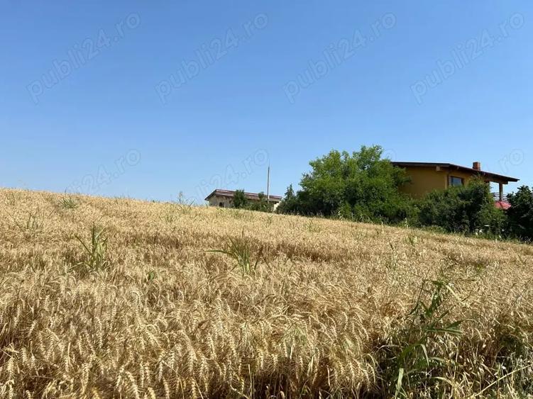 Teren de 4000 mp, în Ciolpani