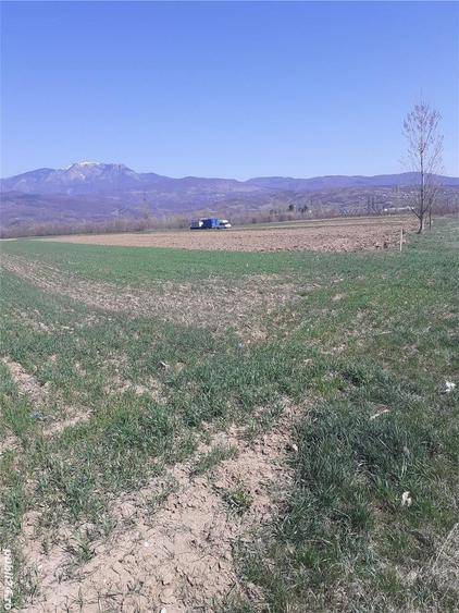 Teren de 2000 mp, în Jiblea Nouă