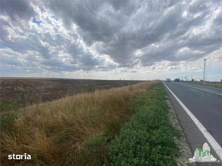 Teren de 24250 mp, în Mihail Kogălniceanu