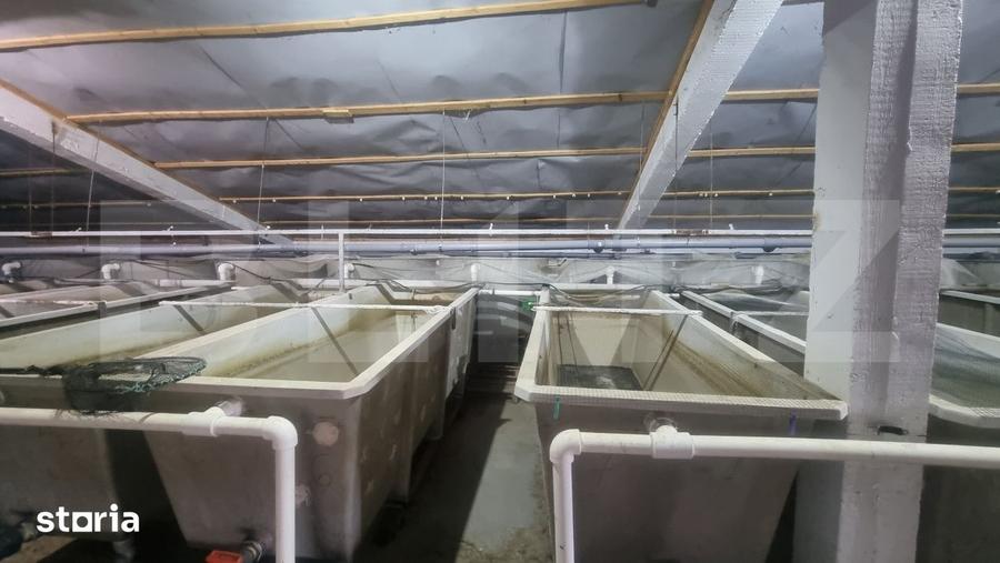 Casă cu 8 camere cu Teren 28000 Mp în Ceptura