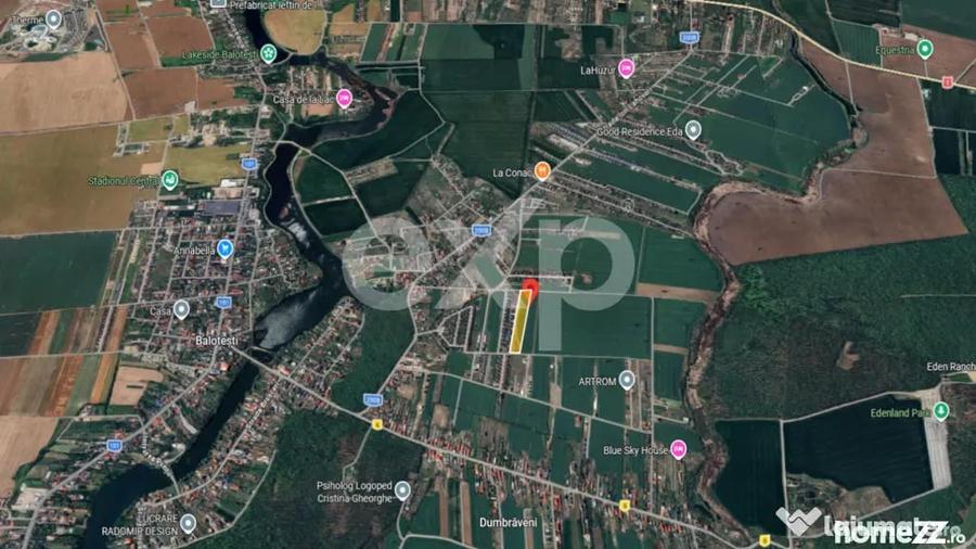 Teren 10.000mp parcelat Balotesti - 4