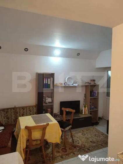 Apartament cu 2 camere decomandat în Horea