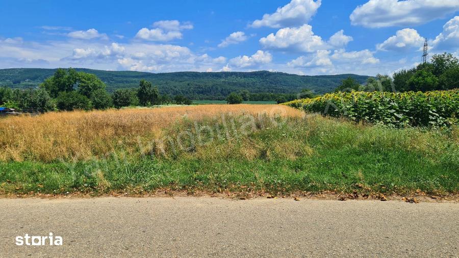 Teren de 3620 mp, în Crâmpotani