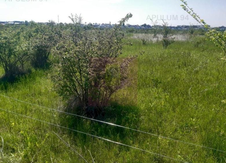 Teren Construcții intravilan de 29000 mp, în Est