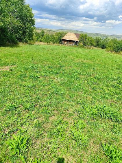 Teren de 2000 mp, în Mașca