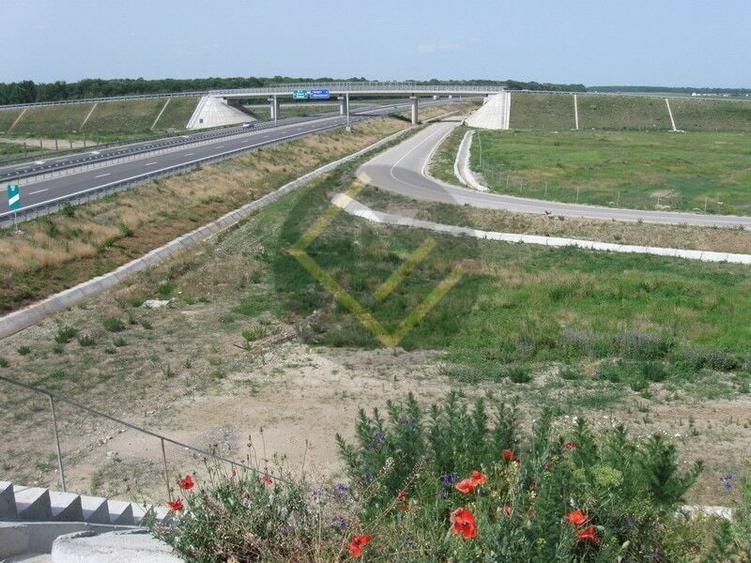 Teren Construcții intravilan de 91000 mp, în Snagov