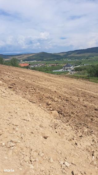 Teren de 500 mp, în Viișoara