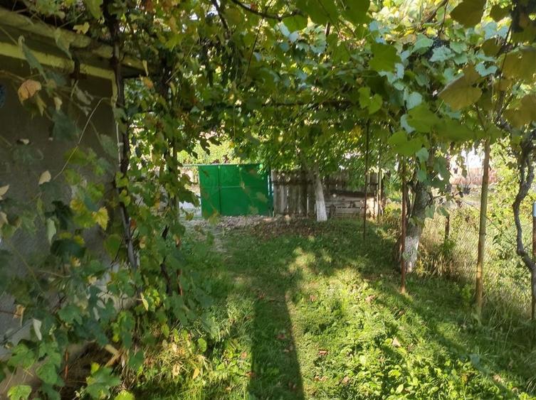 Casă cu 1 camere cu Teren 1100 Mp în Calea Mare