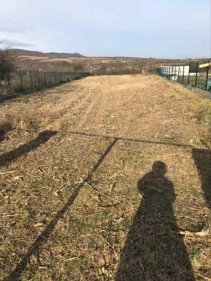 Teren de 3000 mp, în Săsenii Vechi