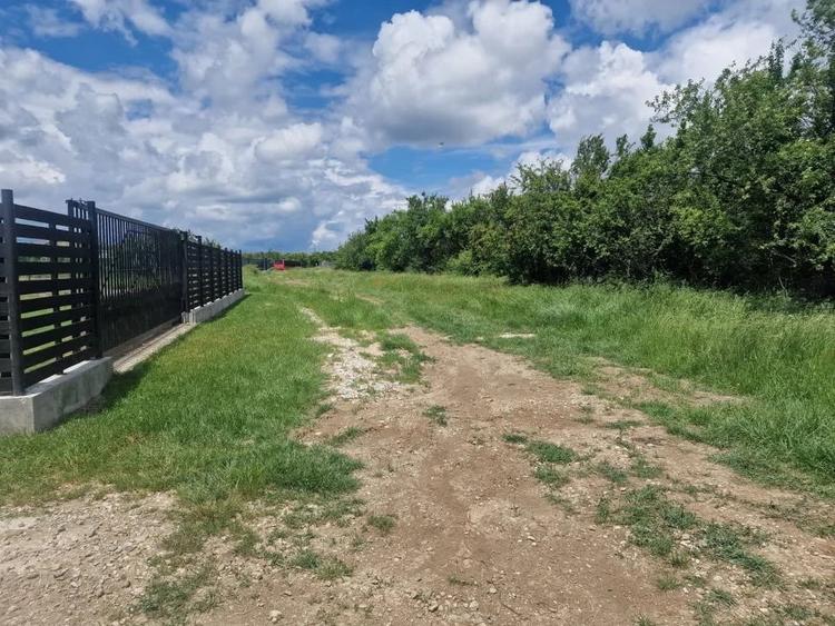 0% Comision!!! Teren intravilan Smeura - str Prunilor! - 3