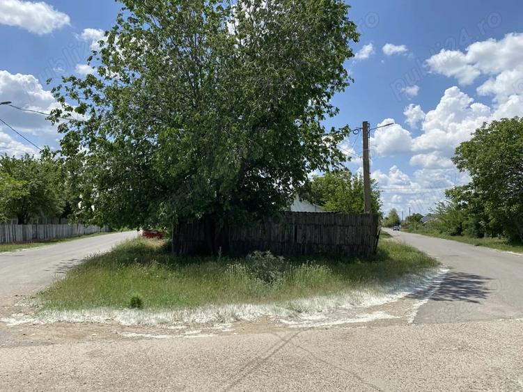 Casă cu Teren 1030 Mp în Ograda