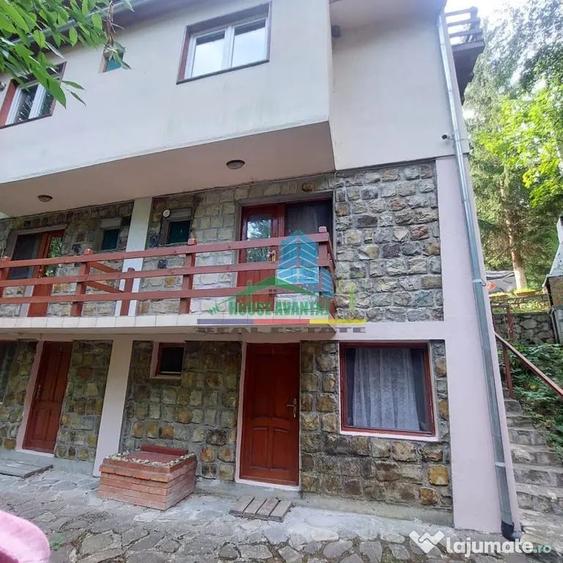 Spațiu comercial, de 450 mp, în Lepșa
