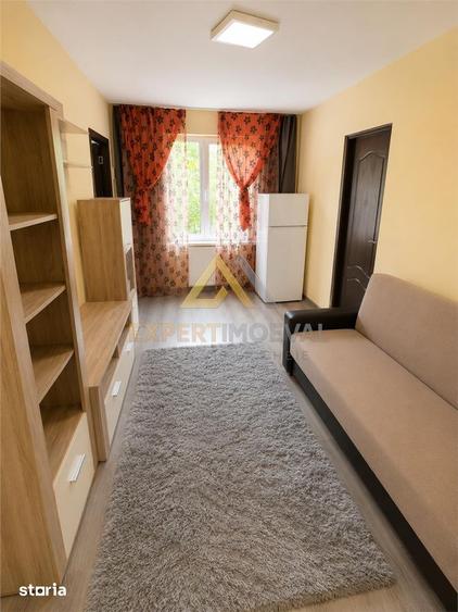 Apartament cu 2 camere în Săsar