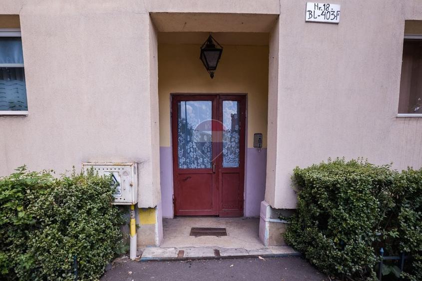 Apartament 3 camere | Codrul Cosminului | Etaj 1 - 24
