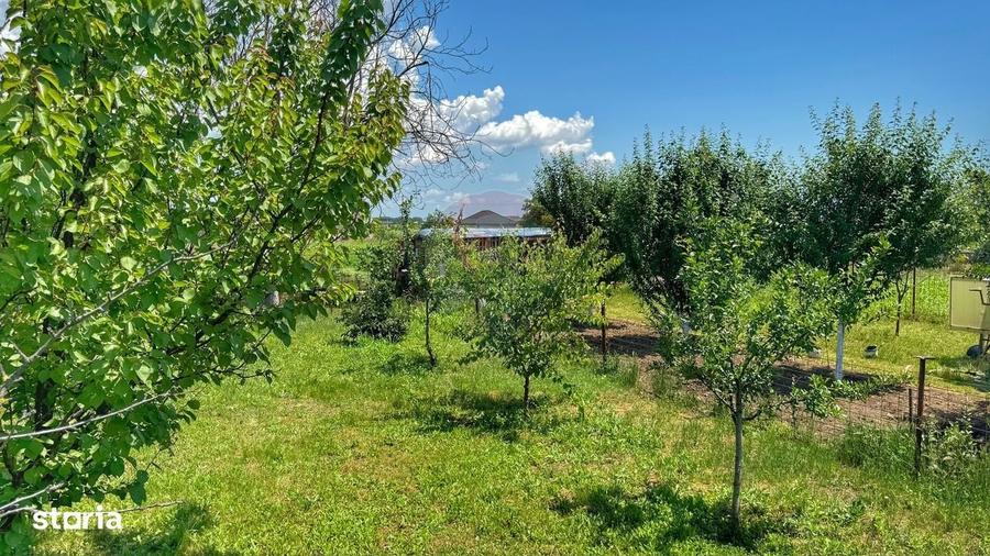 Casa batraneasca cu 3 camere-Oportunitate de Investitie in Domnesti - 12