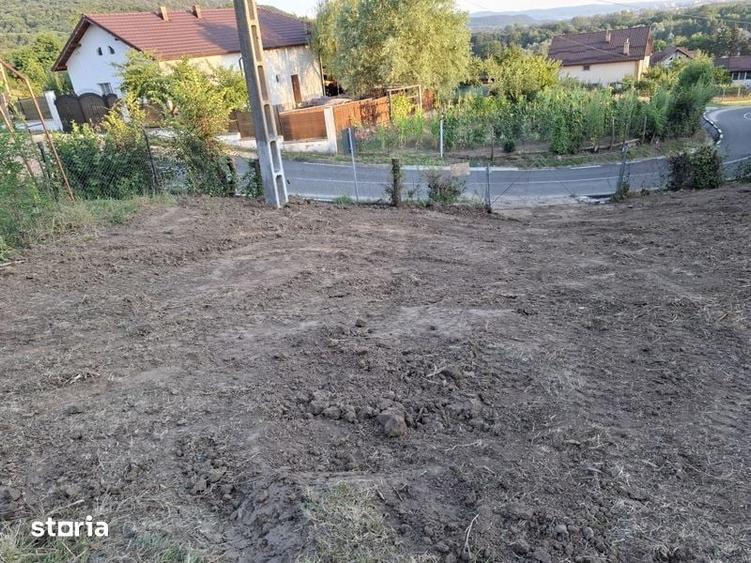 Teren de 1500 mp, în Berislăvești