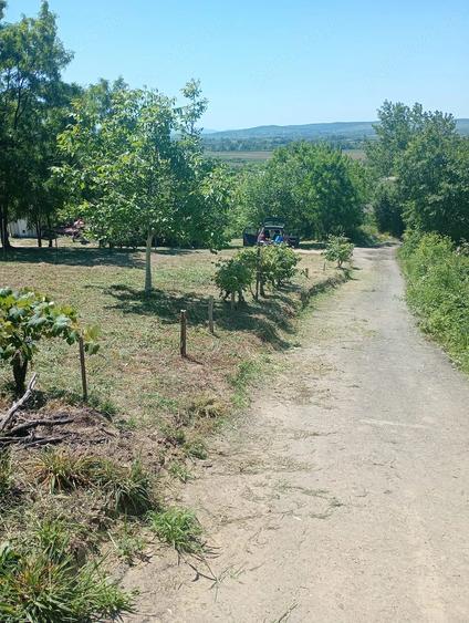 Teren de 866 mp, în Cicârlău