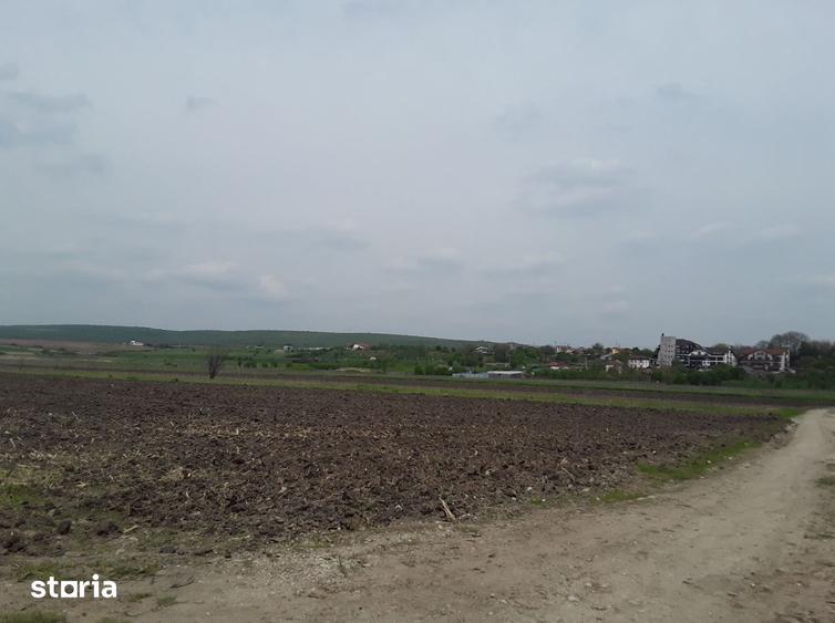 Teren de 7985 mp, în Coțofenii din Față