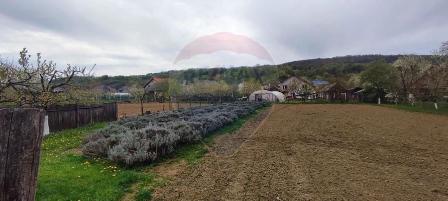 Casă cu 3 camere cu Teren 1361 Mp în Gârdani