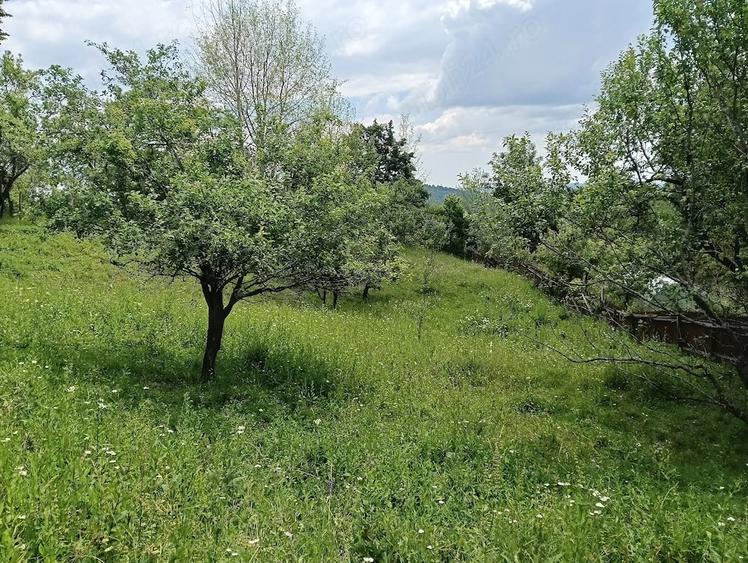 Teren de 1584 mp, în Talea