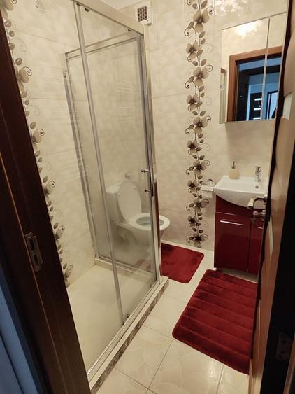 Apartament cu 3 camere decomandat în Roșu