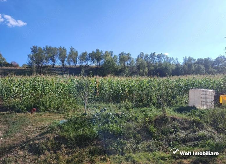 Teren de 2976 mp, în Țaga