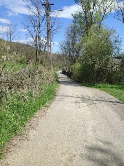 Teren intravilan de 1241 mp, în Provița de Sus