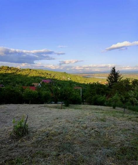Teren intravilan de 1765 mp, în Podgoria
