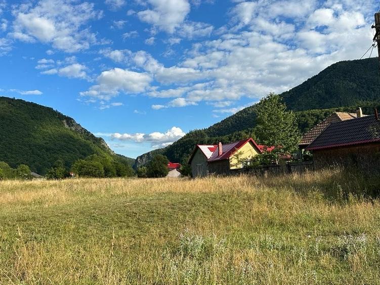 Teren intravilan Lepsa - 8