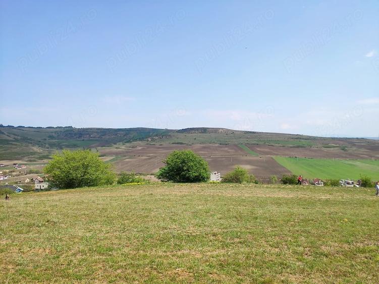 Vanzare doua terenuri 600 mp cu acte in regula Santana de Mure? (zona Unirii - Barde?ti) - 6