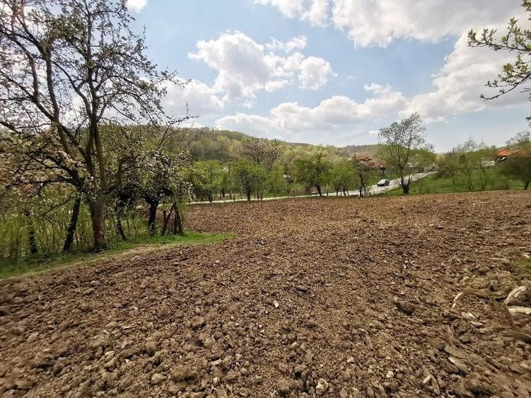 Casă cu 4 camere cu Teren 4212 Mp în Lupșa de Sus