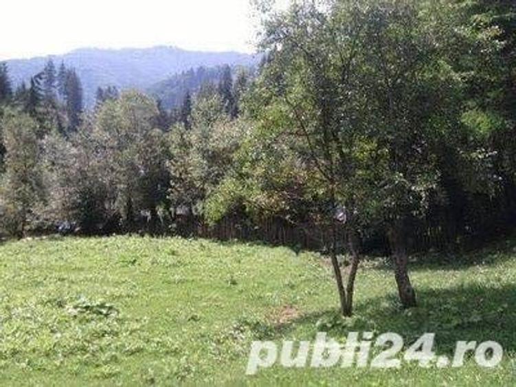 Teren de 5062 mp, în Voineasa