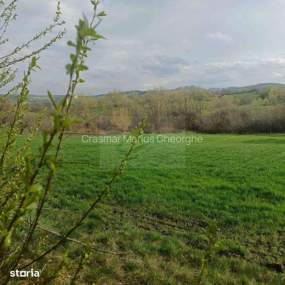 Teren intravilan Ili?e?ti/Suceava