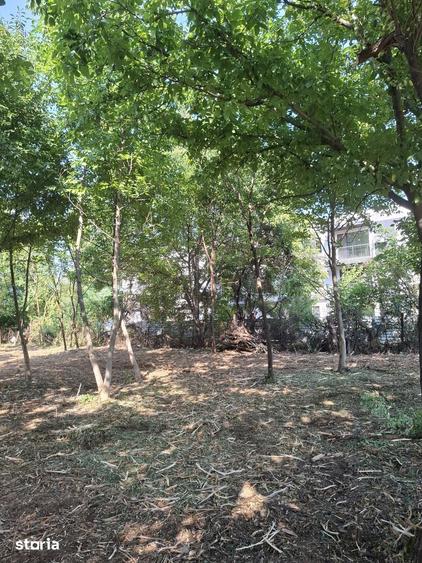 Teren de 1260 mp, în Tunari