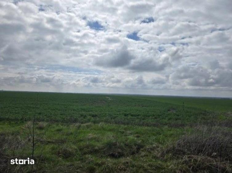 Teren de 5000 mp, în Filipeștii de Târg