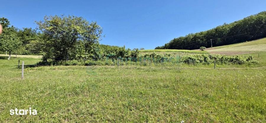 Casă cu 4 camere cu Teren 2670 Mp în Vârciorog