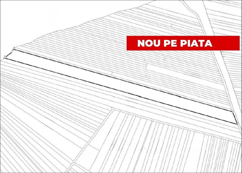 Teren agricol extravilan de 13500 mp, în Ciugud