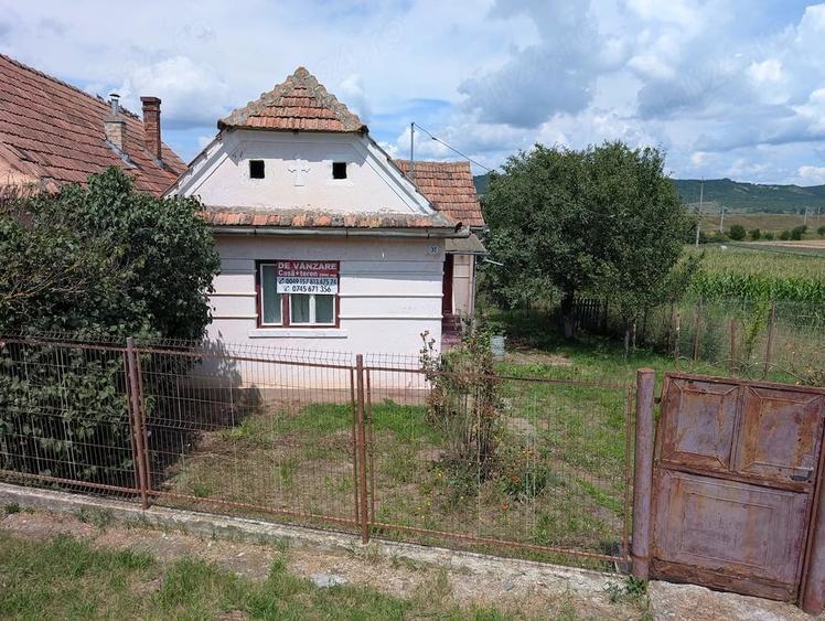 Casă cu Teren 3000 Mp în Albești