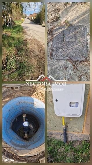 Casă cu 2 camere cu Teren 951 Mp în Paleu
