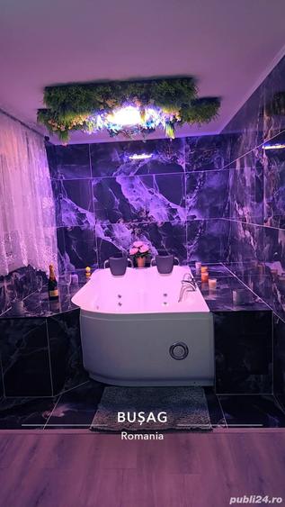Casă cu 1 camere în Bușag