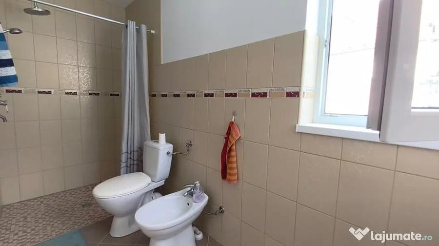 Reprezentare Exclusiva Proprietate deosebita, la 30 de minute de Dev - 6