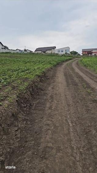 Teren de 655 mp, în Rediu