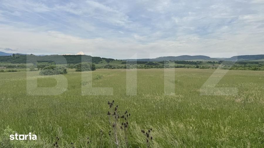 Teren de 5500 mp, în Livezile
