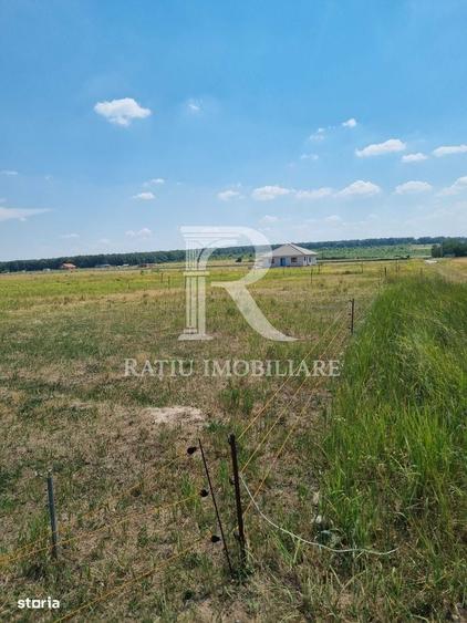 Teren intravilan | Cihei | Bihor - 3