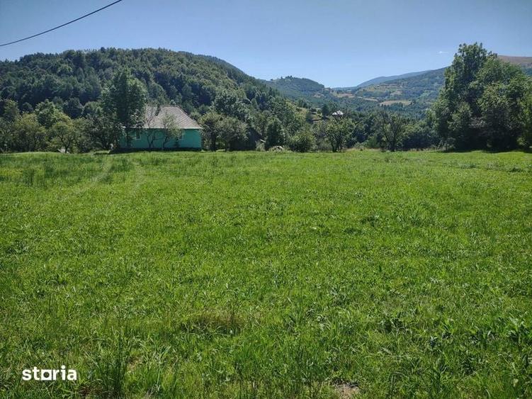Teren de 1986 mp, în Poieni
