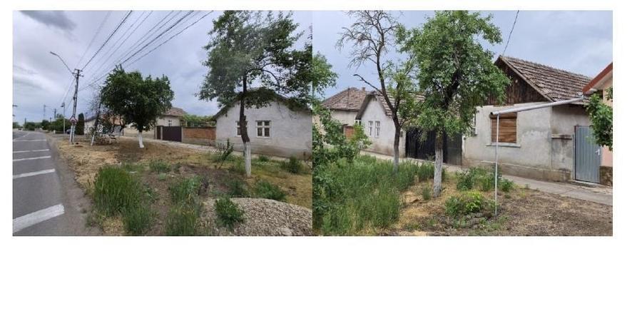 Casă cu 2 camere cu Teren 1462 Mp în Central