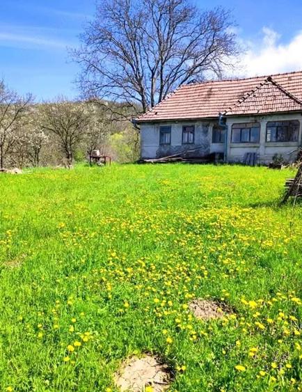Teren de 27 mp, în Rușii-Munți