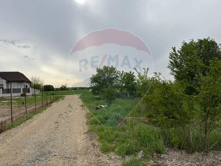 Teren Construcții intravilan de 960 mp, în Ciolpani
