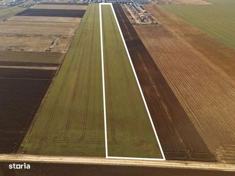 Teren de 38500 mp, în Tărlungeni