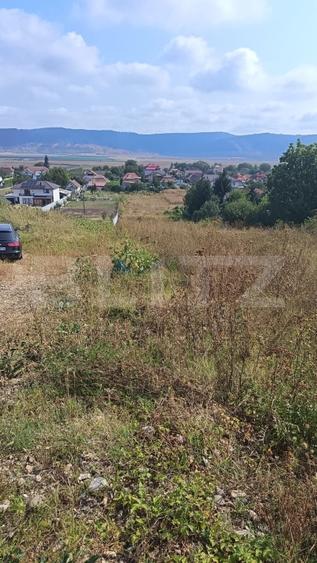 Teren Construcții intravilan de 2358 mp, în Luna
